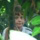 50- Bastien perdu dans les arbres 